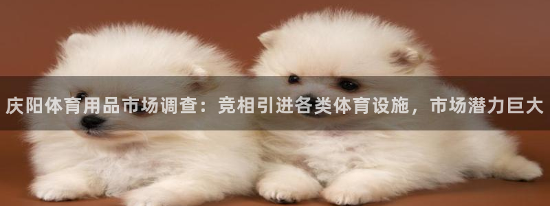 意昂体育4娱乐：庆阳体育用品市场调查：竞相引进各类体