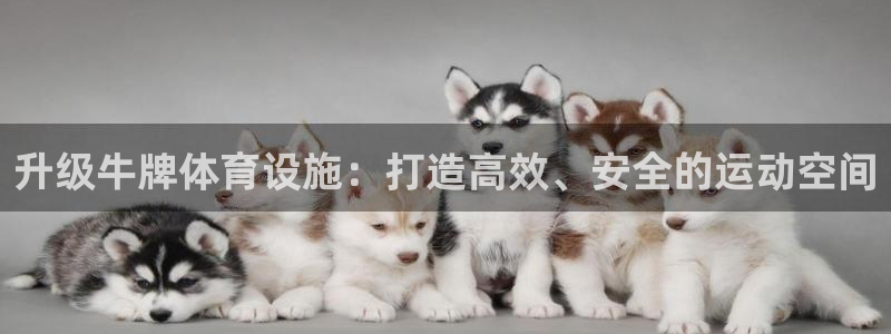 意昂4科技：升级牛牌体育设施：打造高效、安全的运动空
