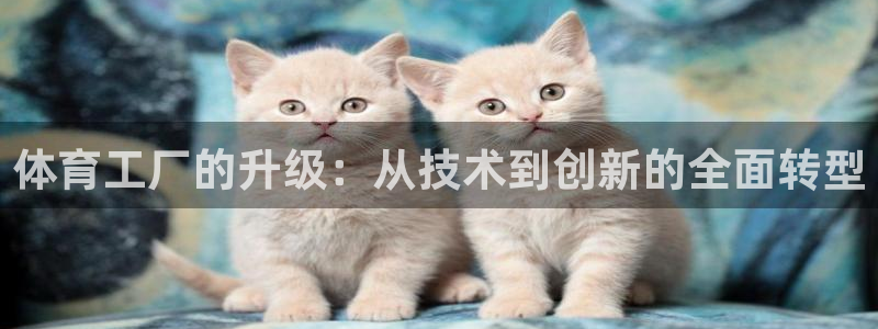 意昂4集团官网首页网址：体育工厂的升级：从技术到创新