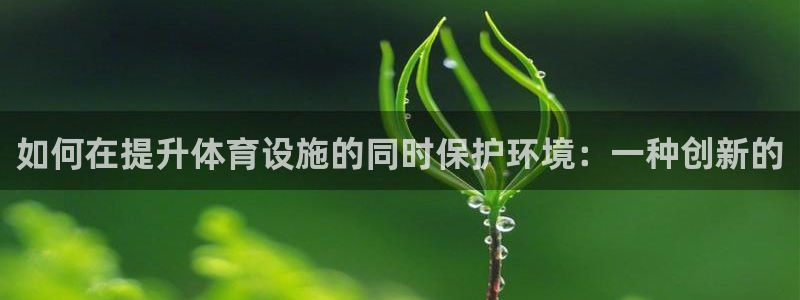 意昂4娱乐平台：如何在提升体育设施的同时保护环境：一