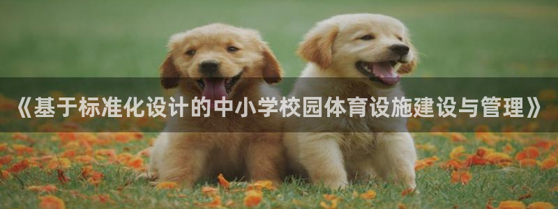 意昂4娱乐代理怎么样：《基于标准化设计的中小学校园体育设施建