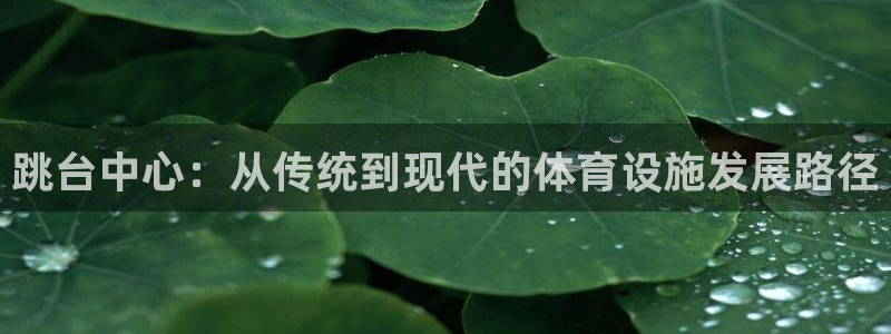 意昂体育4：跳台中心：从传统到现代的体育设施发展路径 