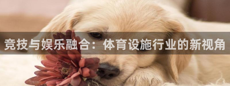 意昂4娱乐首页网站大全