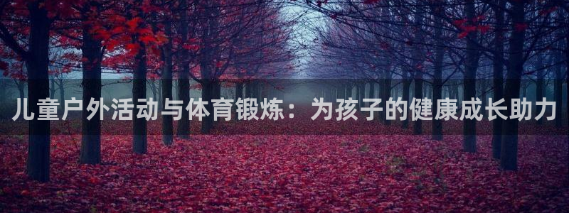 意昂体育4平台注册要钱吗：儿童户外活动与体育锻炼：为
