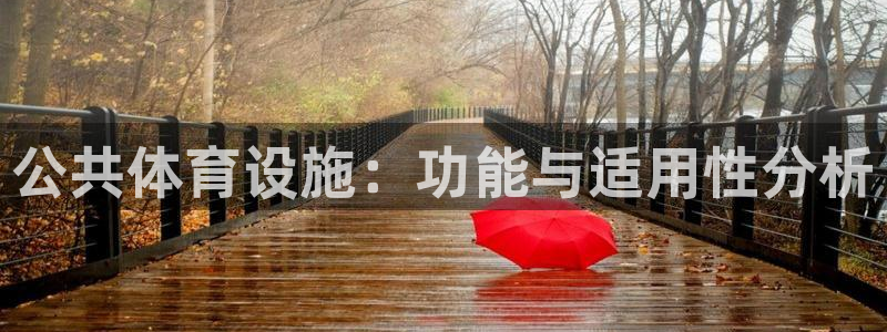 意昂4集团简介：公共体育设施：功能与适用性分析