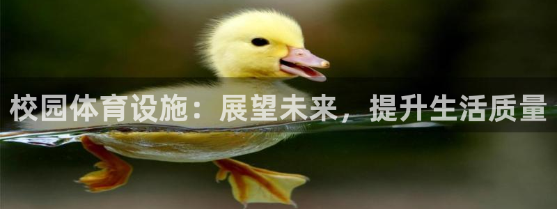 意昂4集团logo：校园体育设施：展望未来，提升生活