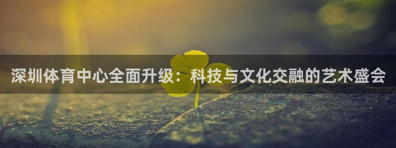 意昂体育4官方客服电话：深圳体育中心全面升级：科技与