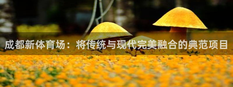 意昂体育4招商电话号码：成都新体育场：将传统与现代完