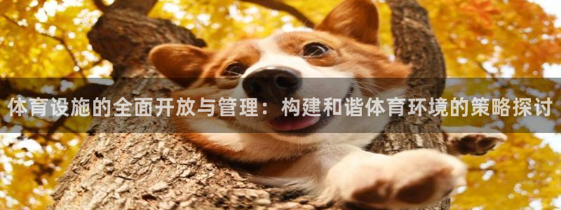 海南意昂体育4发展怎么样：体育设施的全面开放与管理：