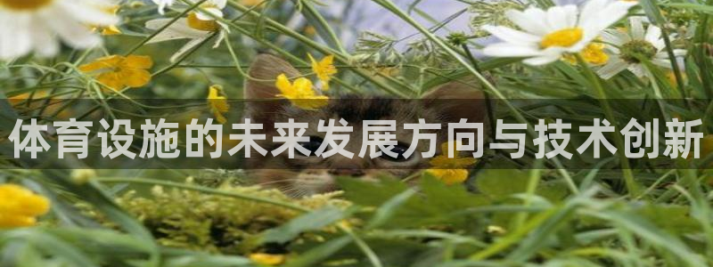 意昂4开户：体育设施的未来发展方向与技术创新