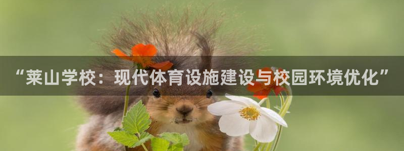 意昂体育4：“莱山学校：现代体育设施建设与校园环境优