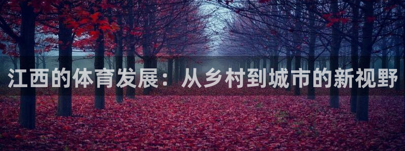 意昂体育4官方客服电话：江西的体育发展：从乡村到城市