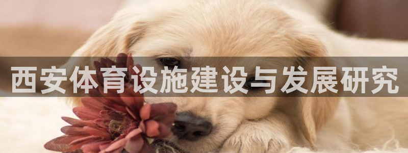 意昂4娱乐首页网站大全：西安体育设施建设与发展研究