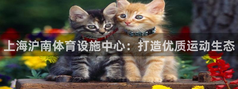 意昂4集团官网网址：上海沪南体育设施中心：打造优质运动生态