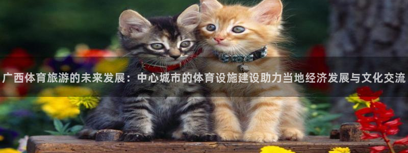 意昂4娱乐：广西体育旅游的未来发展：中心城市的体育设施建设助