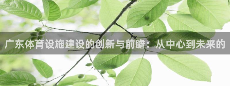 意昂4开户：广东体育设施建设的创新与前瞻：从中心到未来的 