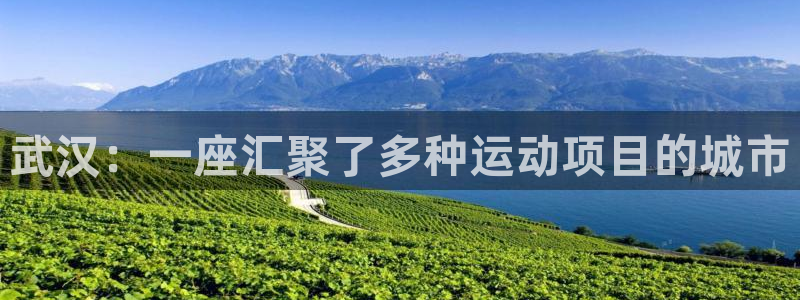 意昂4娱乐代理怎么样：武汉：一座汇聚了多种运动项目的