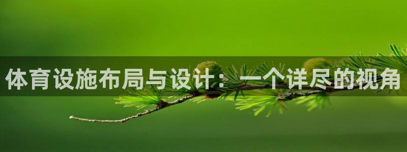 意昂体育4平台APP：体育设施布局与设计：一个详尽的