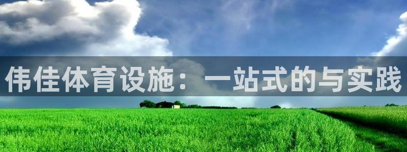 德国意昂4集团：伟佳体育设施：一站式的与实践