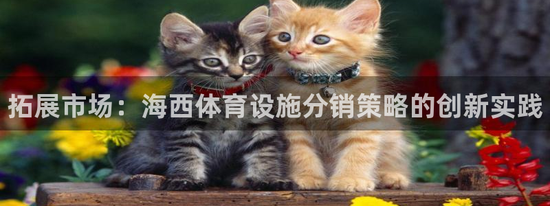 意昂体育4平台注册要钱吗是真的吗：拓展市场：海西体育