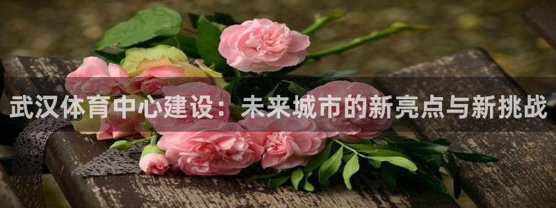 意昂4娱乐代理怎么样：武汉体育中心建设：未来城市的新