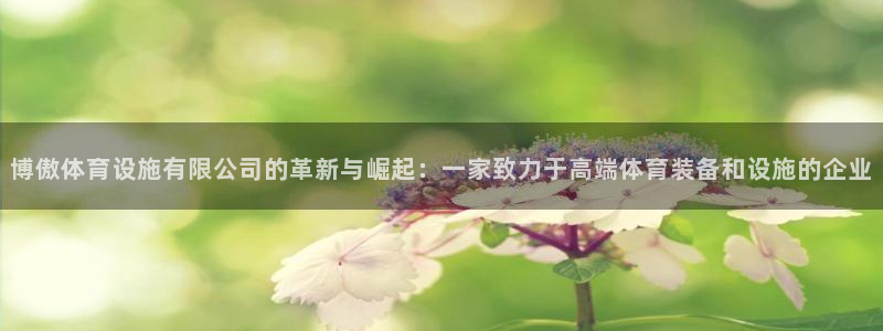 意昂4娱乐网站：博傲体育设施有限公司的革新与崛起：一