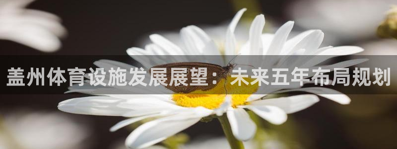 意昂体育4官方客服电话：盖州体育设施发展展望：未来五