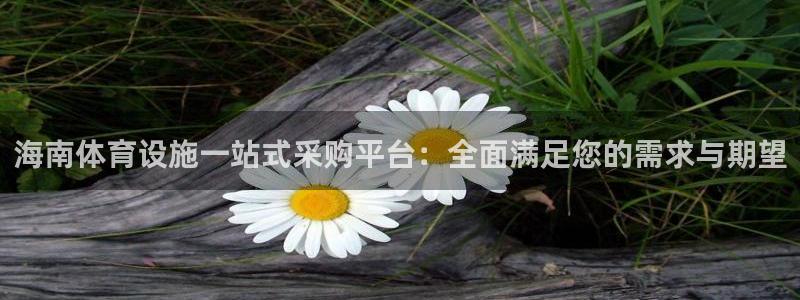 注册意昂4：海南体育设施一站式采购平台：全面满足您的
