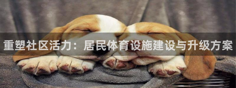 意昂体育4招商电话号码：重塑社区活力：居民体育设施建