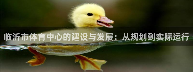 意昂体育4招商电话是多少啊：临沂市体育中心的建设与发