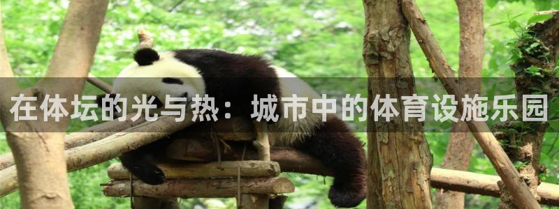 意昂体育4平台注册要钱吗：在体坛的光与热：城市中的体