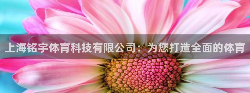 意昂4娱乐代理怎么样：上海铭宇体育科技有限公司：为您