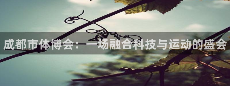 意昂4娱乐网站：成都市体博会：一场融合科技与运动的盛
