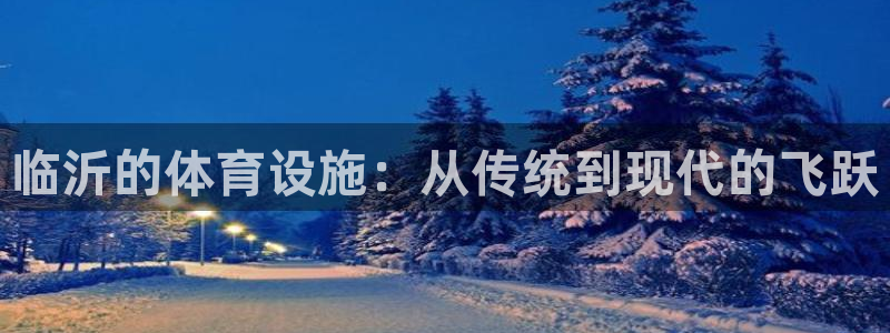 意昂4娱乐40996：临沂的体育设施：从传统到现代的飞跃