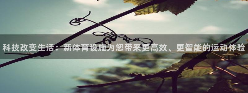 意昂4娱乐40996：科技改变生活：新体育设施为您带来更高效
